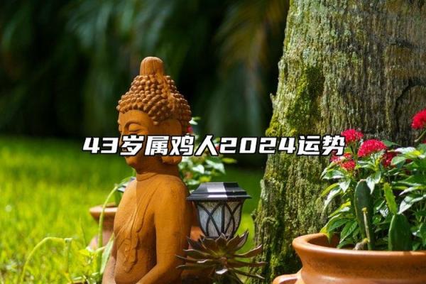 1981年属鸡人2024年运势详解，财运和事业运如何？