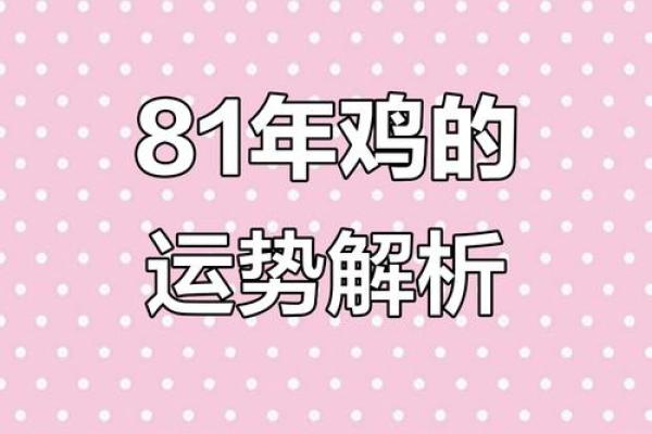 1981年出生的鸡女2025年全年运势如何？每月运程完整版