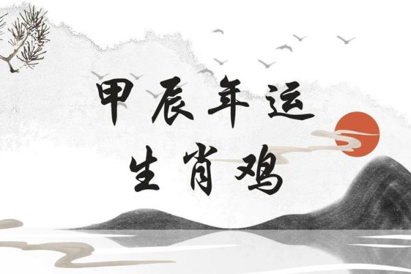 属鸡人2024年每月运势详解及财运健康感情全面解析 属鸡人2024年每月运势详解及财运健康感情全面解析