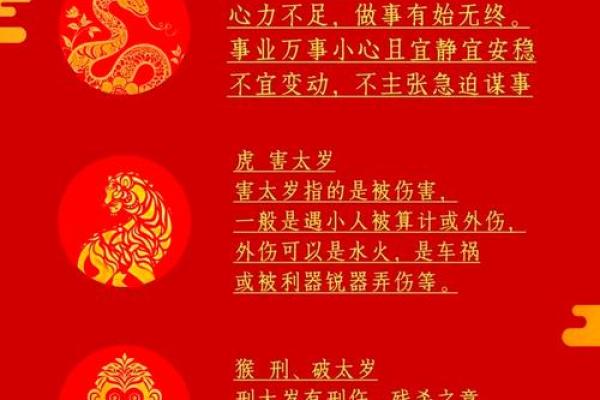 生肖狗在2025年蛇年有什么忌讳和得把眼睛擦亮了？如何化解太岁影响