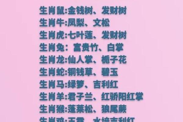 轻而易举”打一最佳准确生肖 十二生肖中轻而易举代表哪个