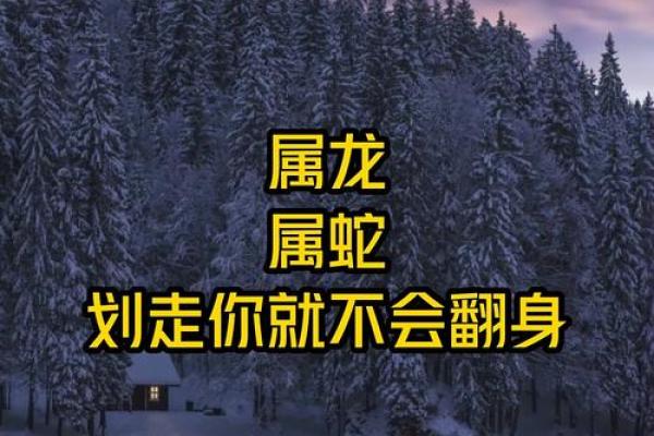龙前蛇后是什么生肖 龙前蛇后打一生肖