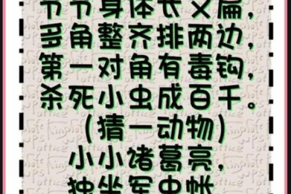露水夫妻打一动物 露水夫妻动物谜底