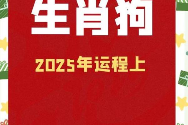 属狗的人2025年穿什么颜色的衣服能带来好运和财运？