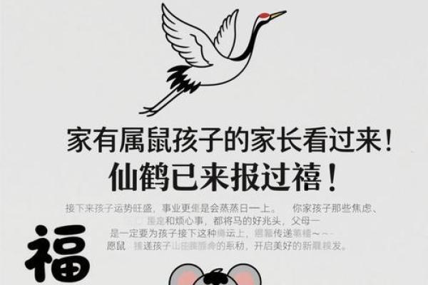 鹤发童颜指什么生肖 鹤发童颜打一生肖答案