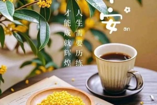 1982年出生的属狗人如何平安度过中年时期的人生大劫? 1982年出生的属狗人如何平安度过中年时期的人生大劫?