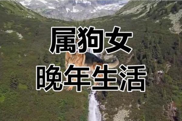 1970年属狗女性2025年运势详解及每月运程完整版分析 1970年属狗女性2025年运势详解及每月运程完整版分析
