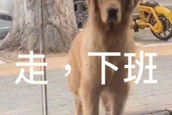 阴阳怪气”打一生肖是什么 阴阳怪气对应生肖查询