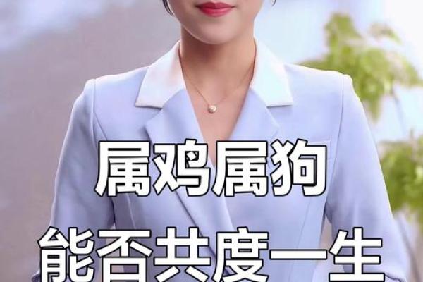 两个属狗的人结婚会幸福吗？需要注意哪些婚姻问题？