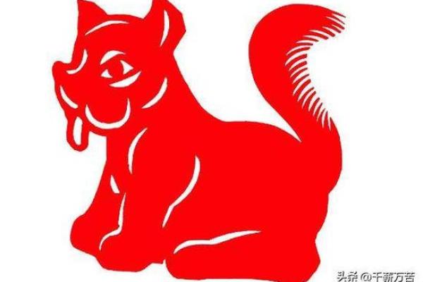 风华正茂打一生肖是什么动物 风华正茂指什么生肖动物