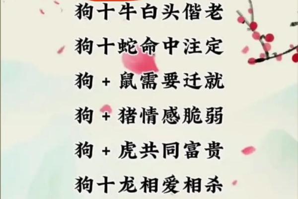 属狗和属鸡的婚姻配对真的合适吗？从性格角度分析优缺点
