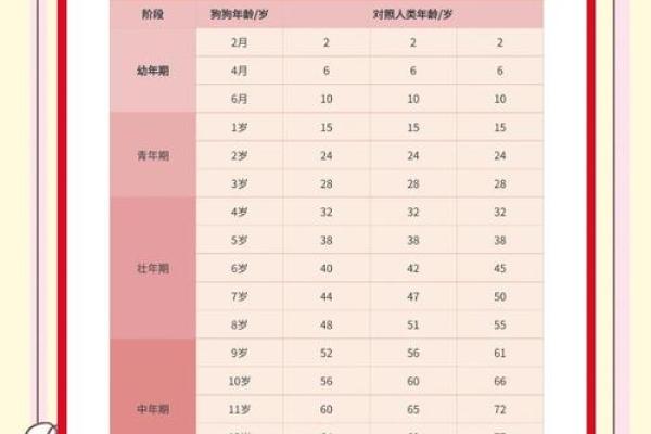 属狗的人2025年具体年龄是多少岁，如何计算虚岁和周岁？