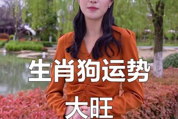 属狗人今日财运如何？有没有什么投资理财的好建议和得把眼睛擦亮了