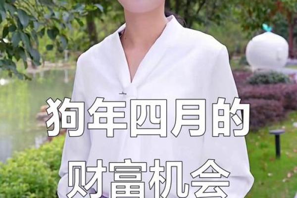属狗的人2024年跟谁一起搭档求财财运最旺最顺利？