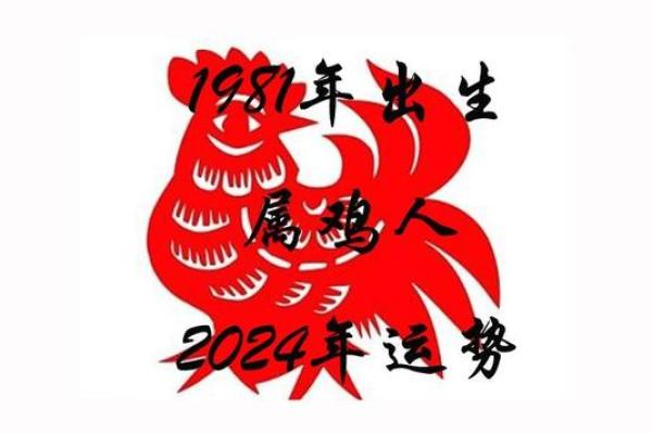 2024年1981年出生的属鸡人事业财运健康感情全面运势分析