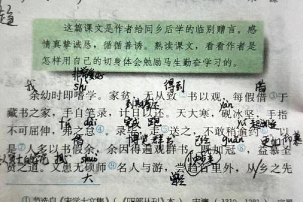 醍醐灌顶什么生肖 醍醐灌顶打一生肖答案