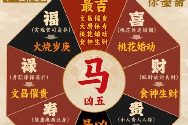 鞍前马后”打一生肖是什么 鞍前马后指什么生肖