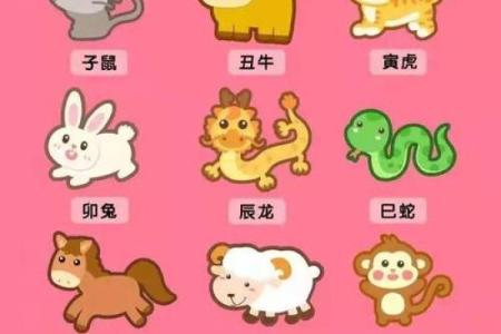 阴山背后是什么生肖 阴山背后生肖配对宜忌
