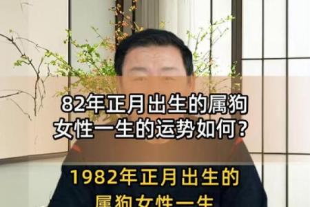 1982年出生的属狗人2025年运势如何及每月运程分析