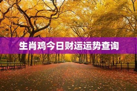 1969年出生的鸡年人龙年事业财运健康全年运势指南