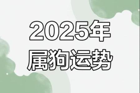 2025年属狗人的感情婚姻运势详解，是否会遇到正缘或出现感情危机？