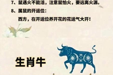 鼠肚鸡肠指什么生肖 鼠肚鸡肠打一生肖答案