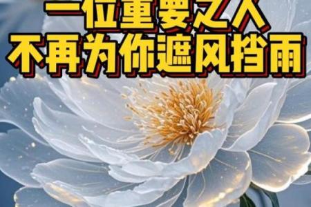 遮风挡雨”是什么生肖 遮风挡雨打一生肖答案