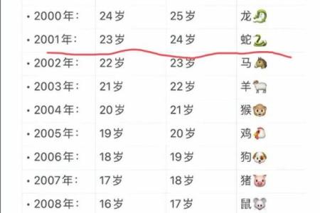 2001年出生的人今年虚岁和周岁分别多大，有什么区别