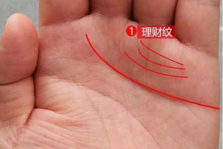 鸿运当头打一精准生肖 2024年鸿运当头生肖查询
