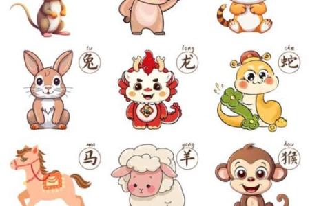 闭门不出是什么生肖 闭门不出的动物代表