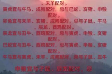 从生肖配对角度分析，属鸡的最佳配偶属相是哪些？