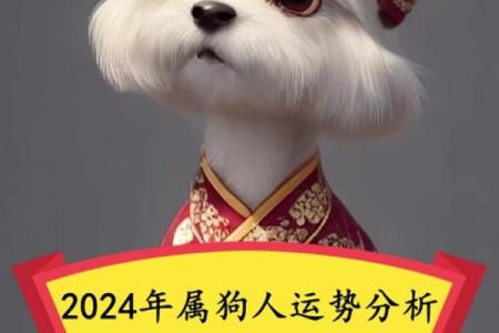 属狗的人哪天出生最好？着六个吉日一定要知道