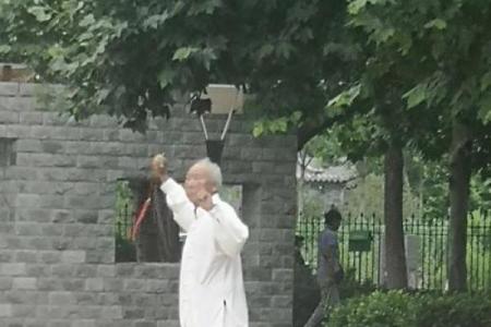 鹤发童颜指什么生肖 鹤发童颜代表哪个生肖动物