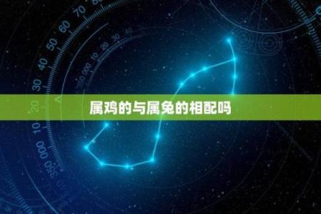 从生肖角度分析，属鸡和属兔的婚姻配对需要注意哪些问题？