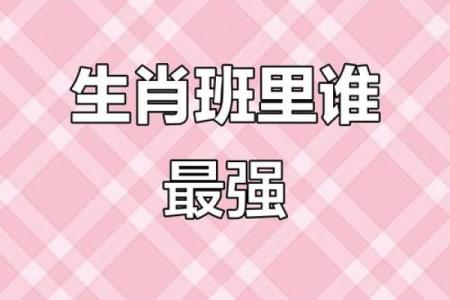 通观全局”打一准确动物生肖 通观全局指什么生肖动物