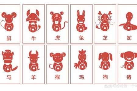 金花是什么生肖？ 金花生肖运势解读