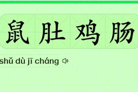 鼠肚鸡肠猜一生肖 鼠肚鸡肠打一生肖答案