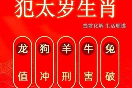 龙争虎斗指什么生肖 龙争虎斗打一生肖答案