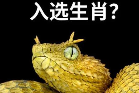 阴险毒辣臭名远是什么生肖 阴险毒辣臭名远扬的动物指什么