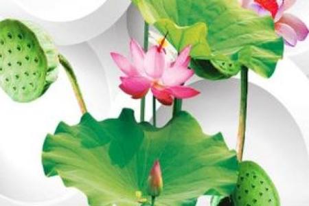 鹏程万里打一准确生肖 鹏程万里生肖谜底查询
