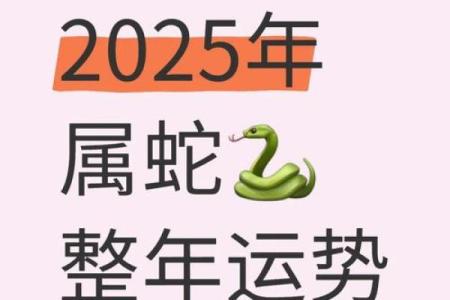 2025蛇年属龙人运势详解：事业财运感情健康全方位预测分析