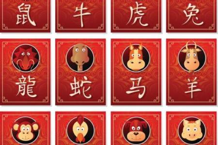 属鸡的今年多大年龄了，2024年虚岁和周岁怎么区分？