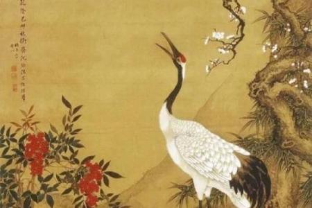 鹤骨鸡肤是什么生肖 鹤骨鸡肤对应生肖查询