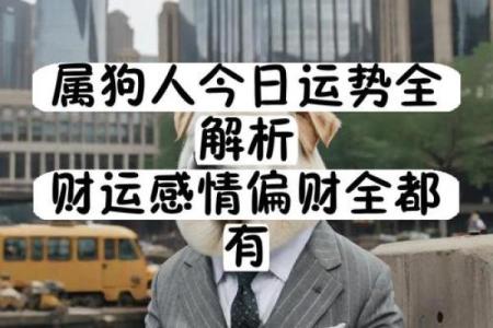 1982年属狗人今天财运如何有没有偏财机会