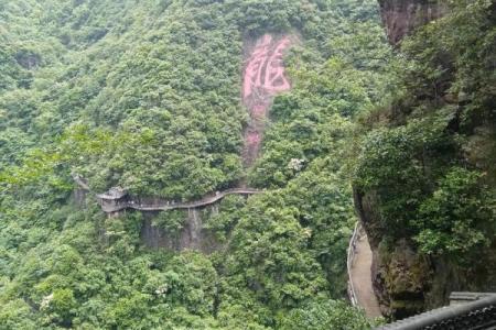铜筋铁骨”打一个生肖动物 铜筋铁骨指什么生肖动物