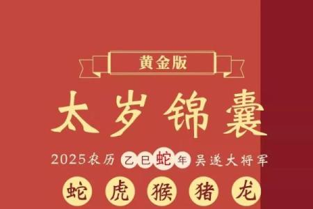酒囊饭袋代表什么生肖 酒囊饭袋指什么动物生肖