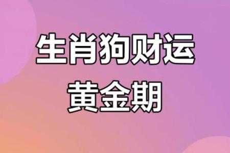 2025年属狗的人财运如何，会有大的突破和增长吗