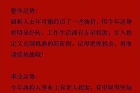 属狗的人2025年实际年龄是多少岁详细解析