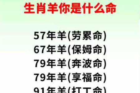 铁头长角羊成群是什么生肖 铁头长角羊成群寓意解析