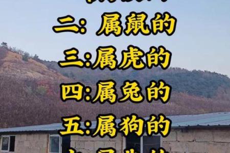 骂狗打鸡猪在笑”是什么生肖 骂狗打鸡猪在笑生肖查询